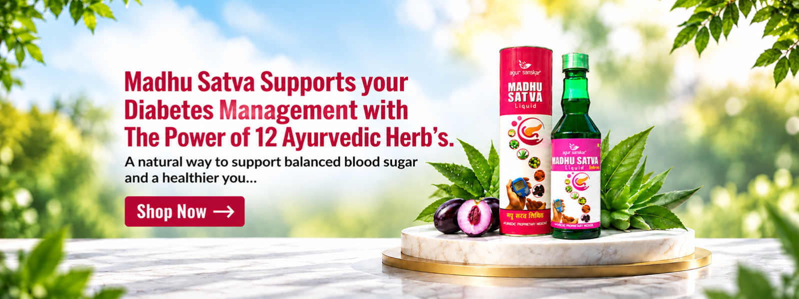 Ayurtirth offer